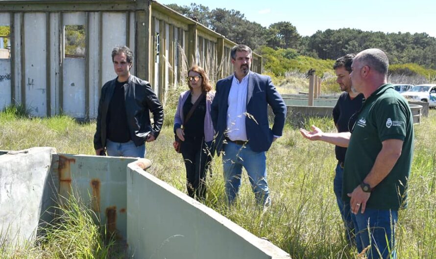 Gacetilla de Prensa Municipal 14/10/22