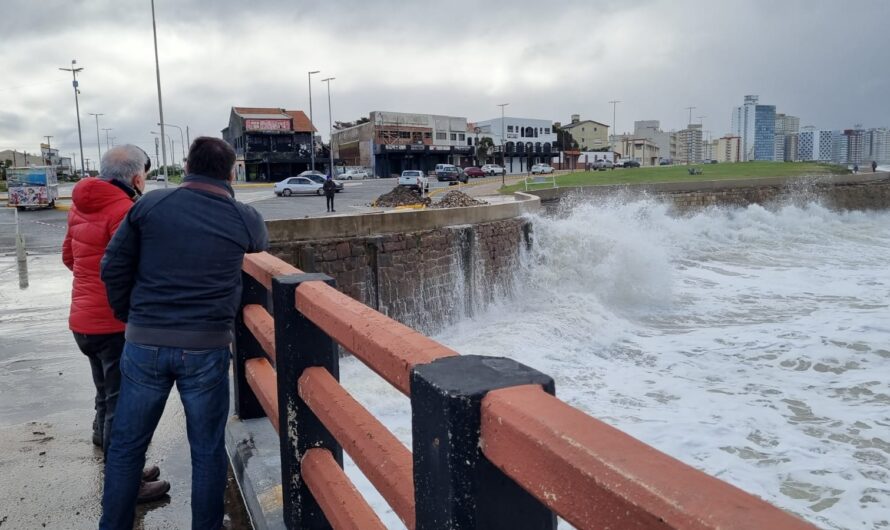 Paseo Costanero: prevención por desmoronamiento