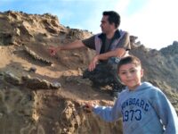 perezoso-gigante-en-miramar