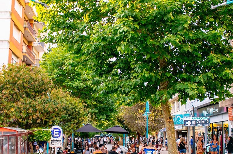 Gacetilla de Prensa Municipal 21/12/23