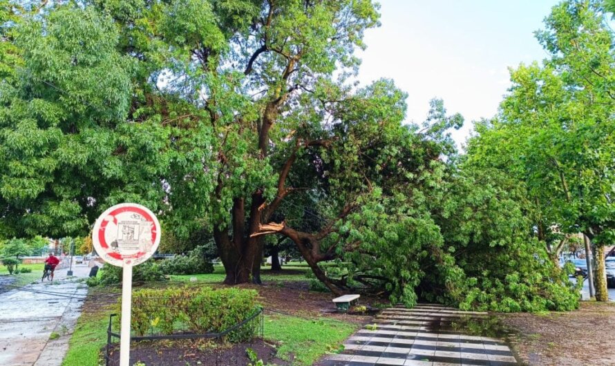 Recomendación de Defensa Civil