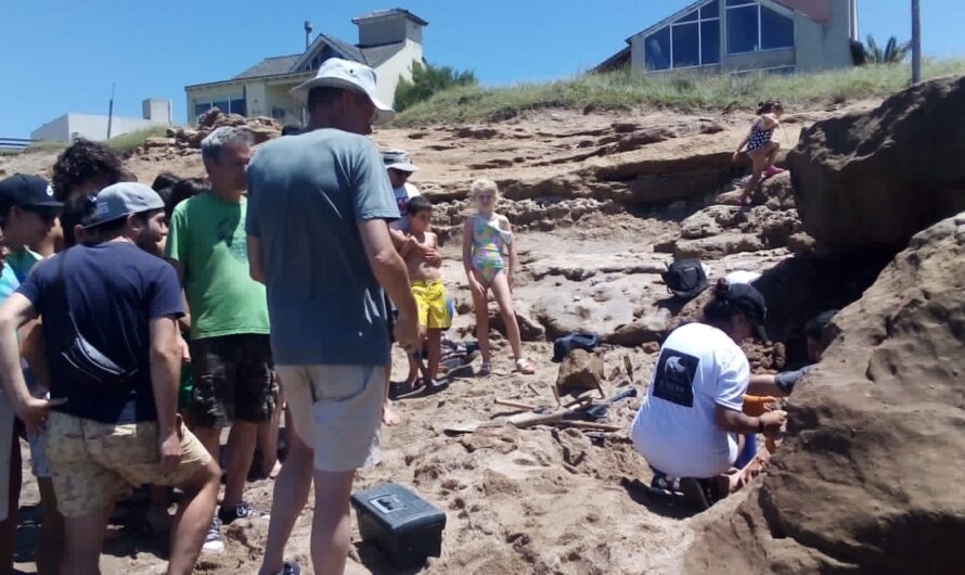 Se recuperaron restos fósiles en Mar del Sud
