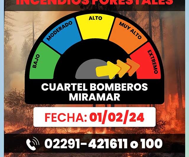Gacetilla de Prensa Municipal 01/02/24