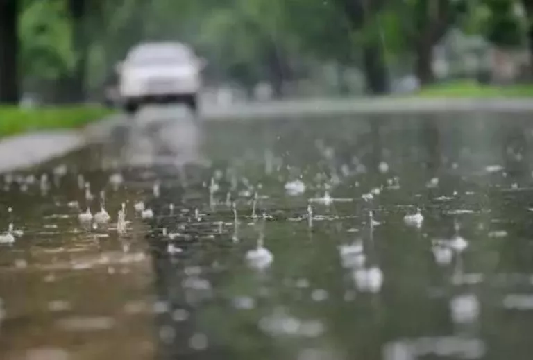 Tipo de Alerta: por Tormenta