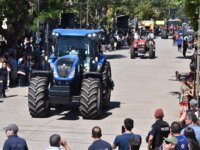 MGA-Desfile-45o-Fiesta-Nacional-de-la-Papa-17-Marzo-2024-b