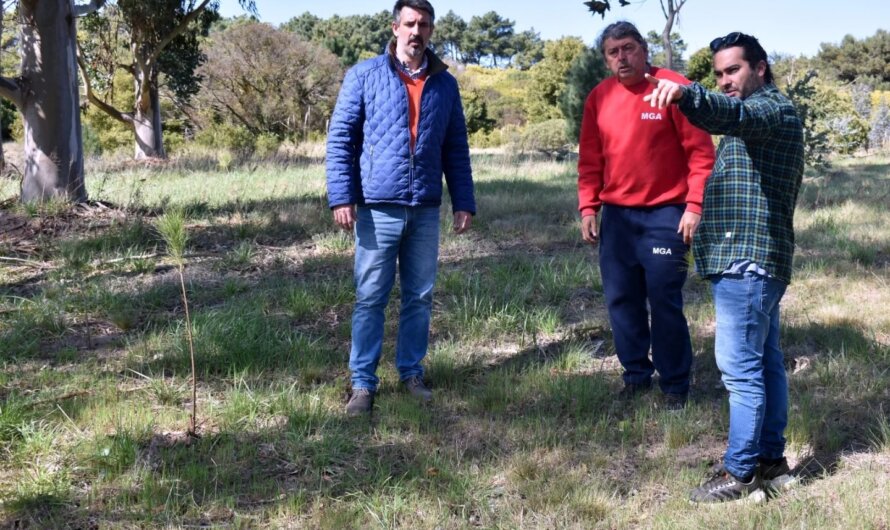 Gacetilla de Prensa Municipal 16/09/24
