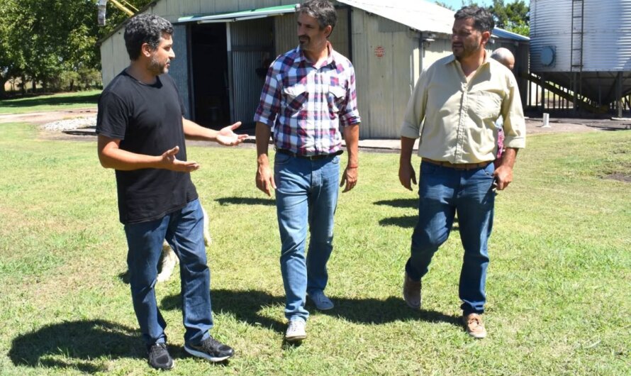 Gacetilla de Prensa Municipal 12/02/25