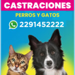 481085117_1056576473162722_6899900158707870957_n