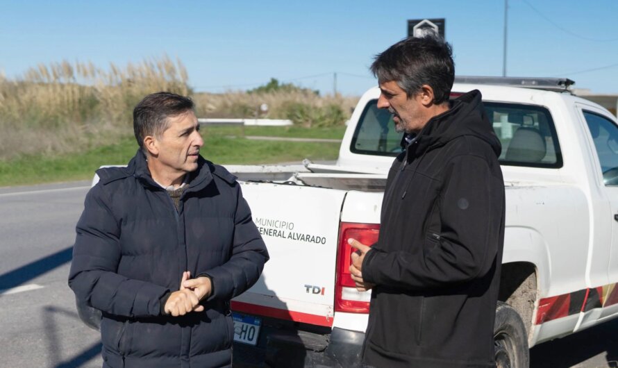 Lectoras de patentes: más tecnología para la seguridad